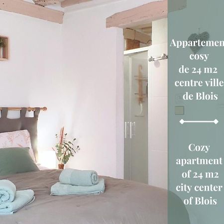Blois City - Le Petit Saint Jean Dış mekan fotoğraf